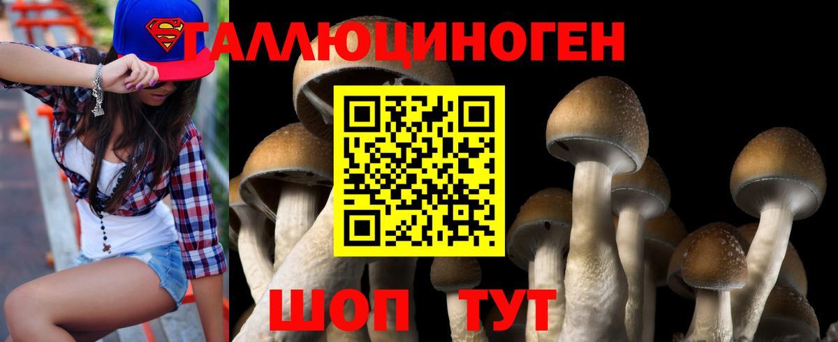 Галлюциногенные грибы GOLDEN TEACHER Нурлат